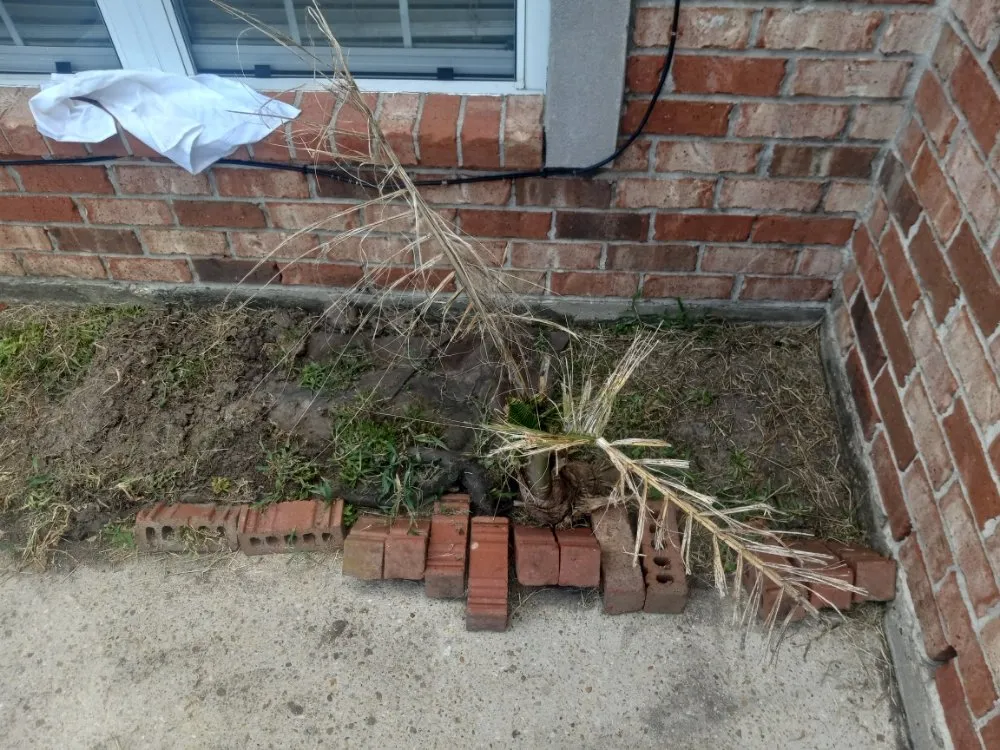 Trusted landscape design with custom design in New Orleans, LA by Bway Management Services