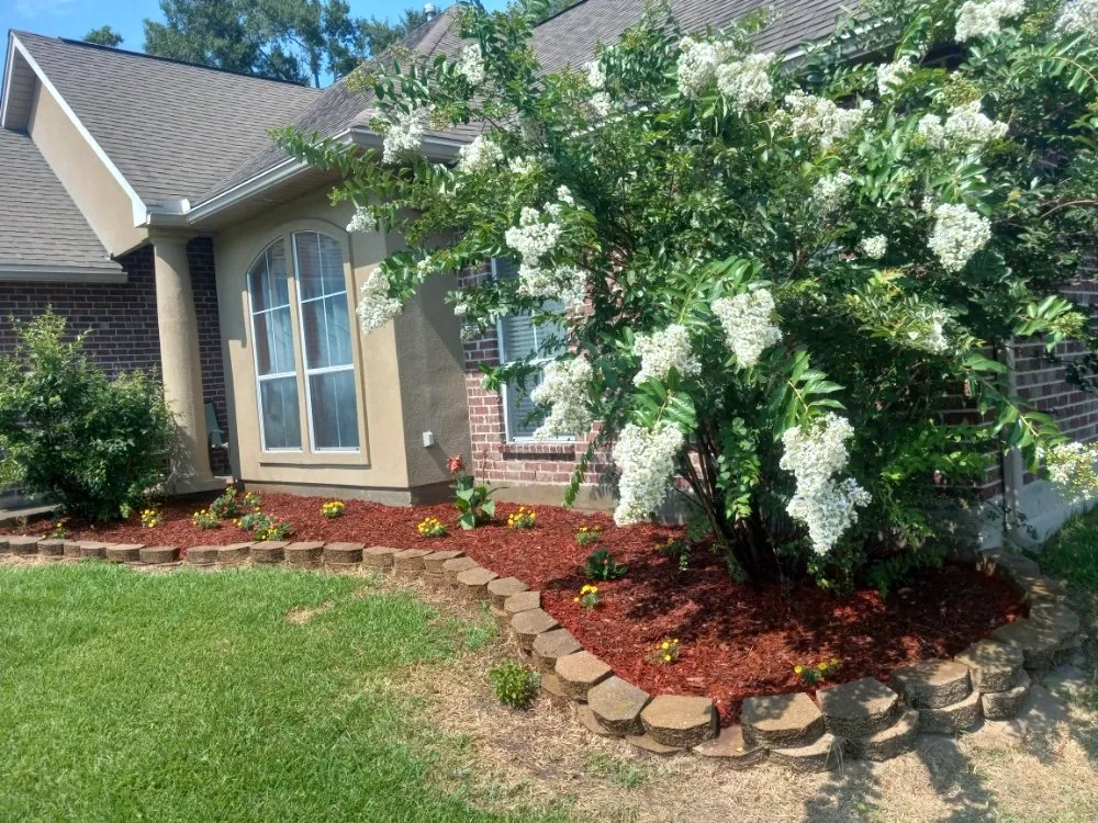 Custom landscaping services for year-round maintenance in New Orleans, LA by Bway Management Services