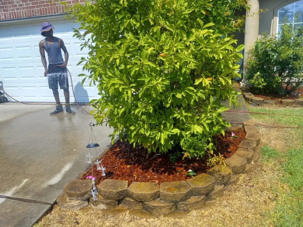 Expert garden landscaping with custom design in New Orleans, LA by Bway Management Services