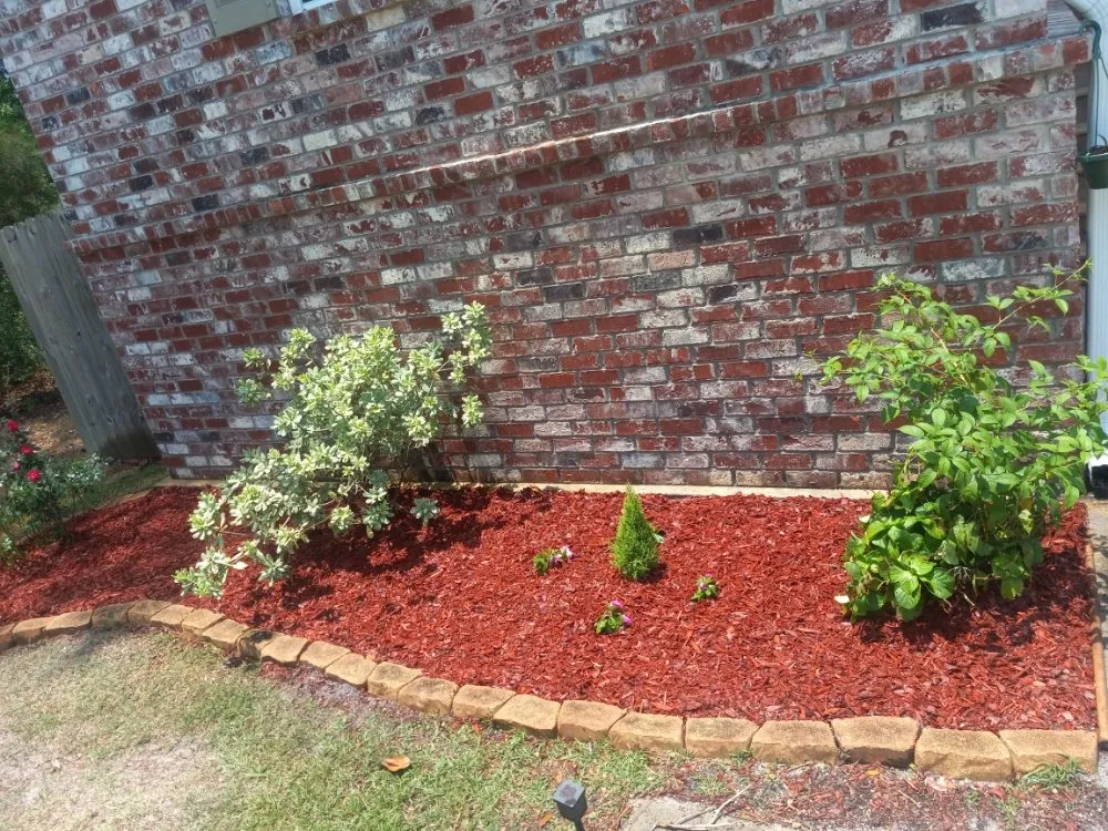 Expert yard maintenance in New Orleans, LA - Bway Management Services