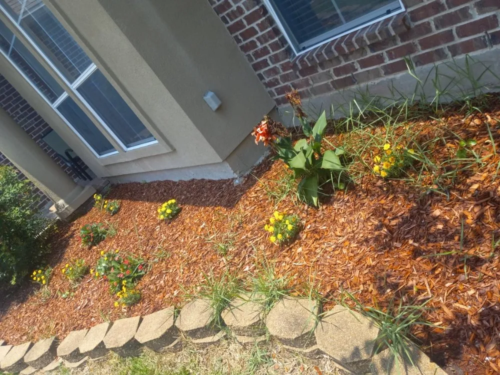 Local landscape installation for beautiful yards in New Orleans, LA by Bway Management Services