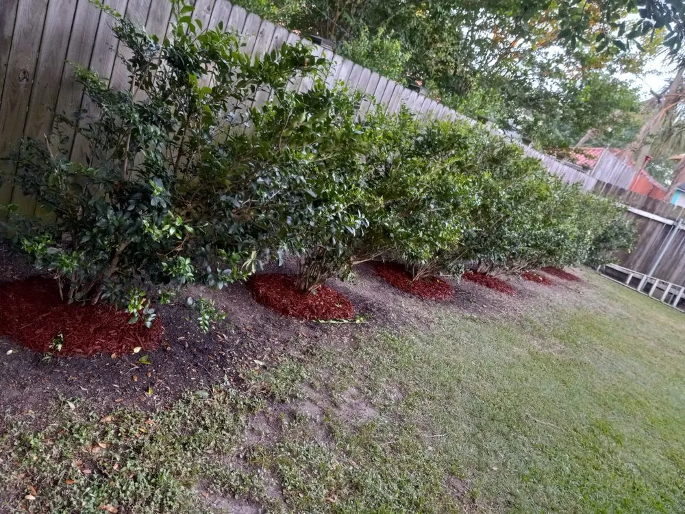 Local landscaping services in New Orleans, LA - Bway Management Services