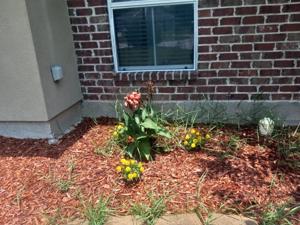 Custom landscaping services in New Orleans, LA by Bway Management Services