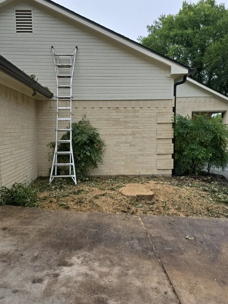 Trusted lawn mowing service in Brazos Bend, TX - Bwb Tree And Landscapes