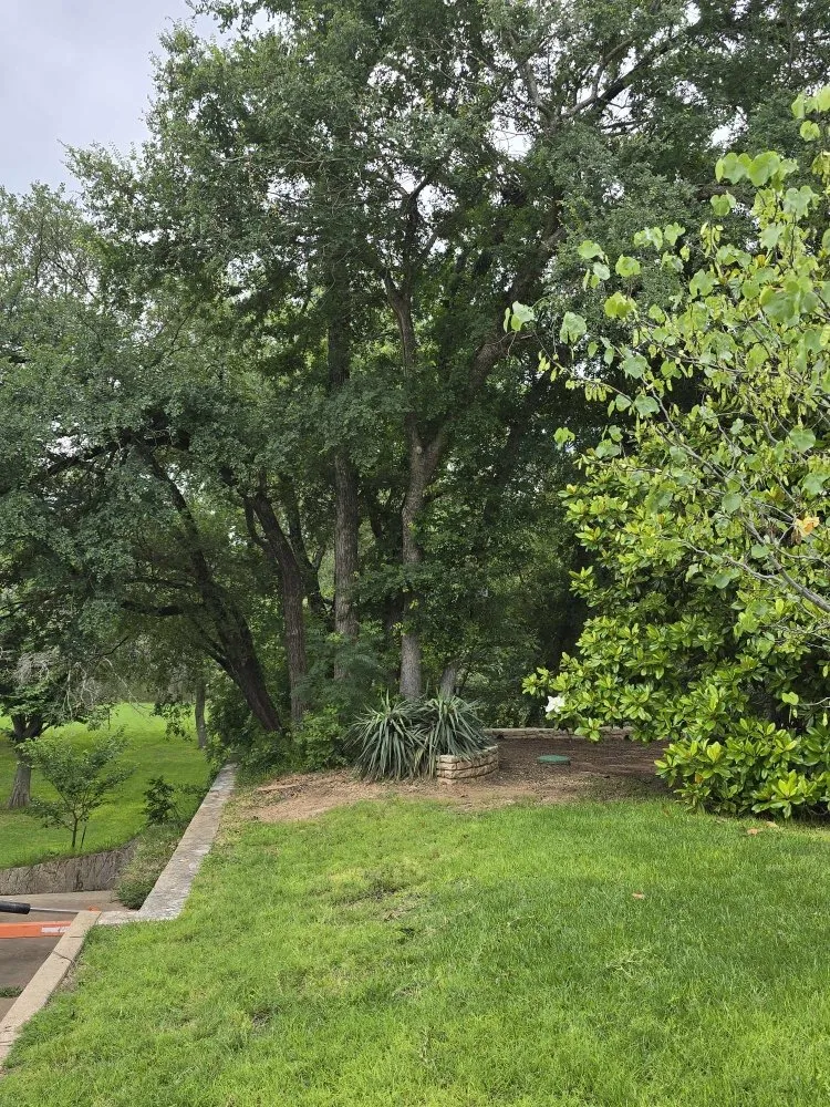 Local landscape design near you across Brazos Bend, TX - Bwb Tree And Landscapes