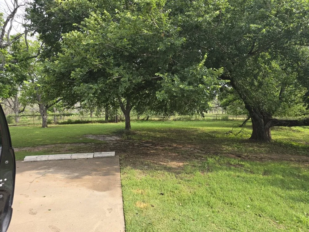 Custom landscaping services with custom design in Brazos Bend, TX by Bwb Tree And Landscapes