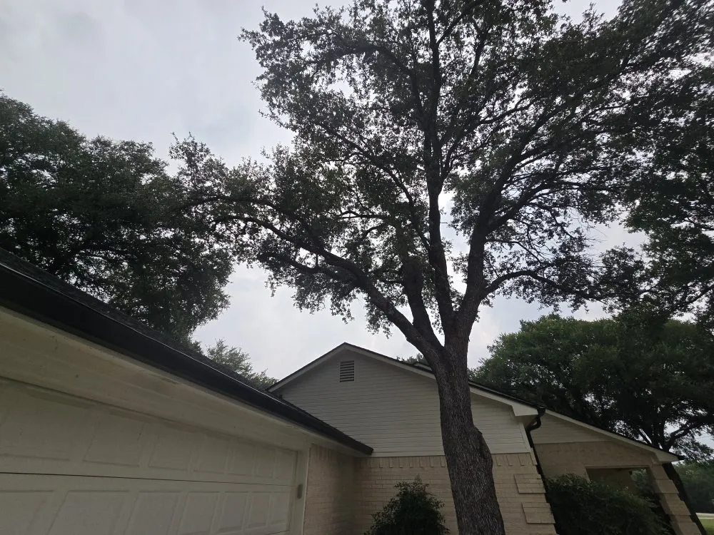 Affordable lawn mowing service in Brazos Bend, TX by Bwb Tree And Landscapes
