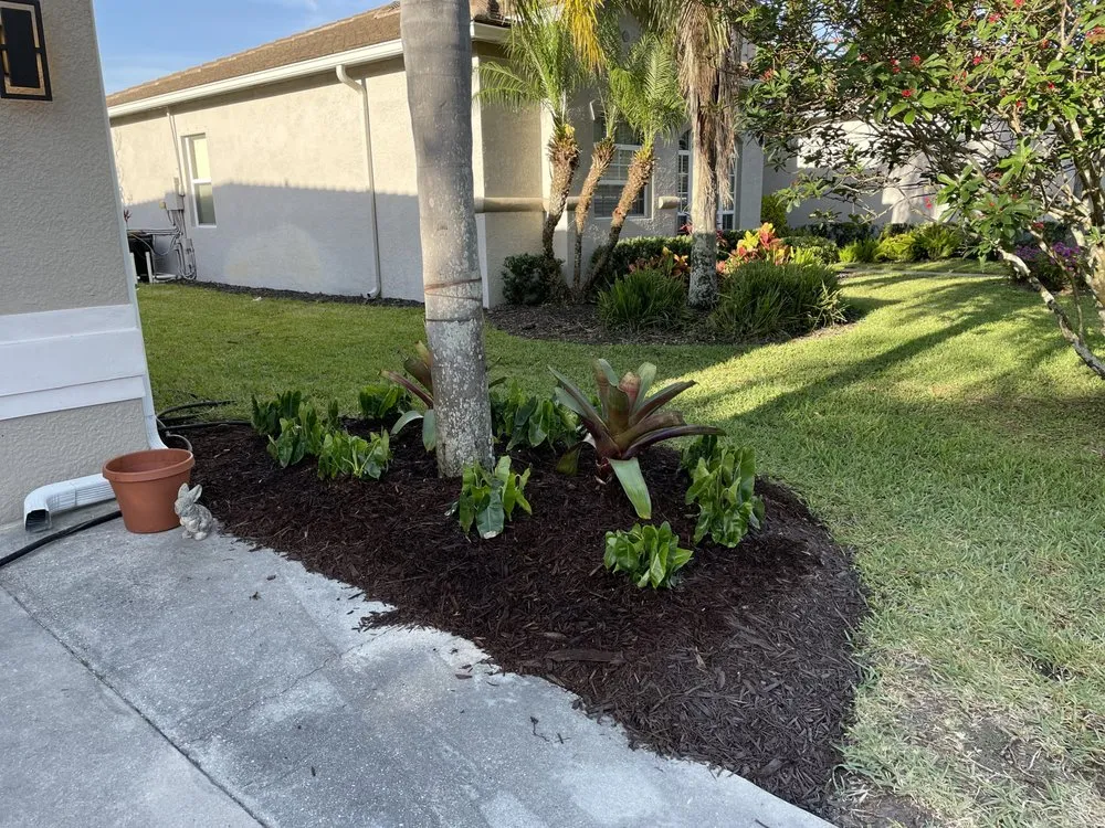 Custom lawn care service experts serving Naples, FL - BWL Landscaping & Lawn Maintenance