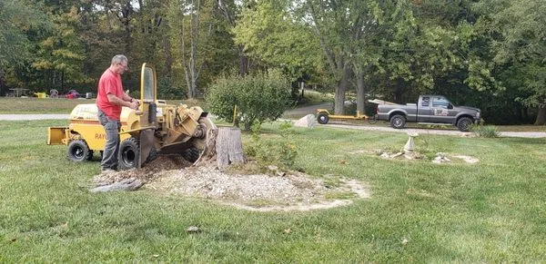 B.W.S Stump Removal Logo