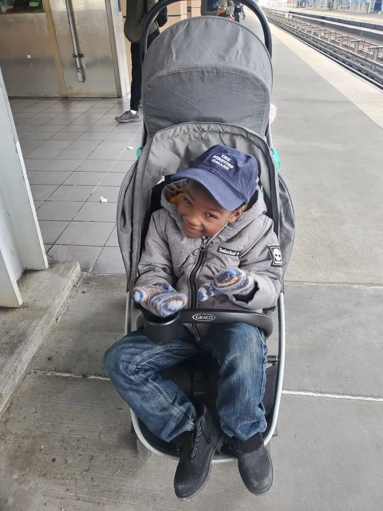 Custom yard cleanup service in Philadelphia, PA - BWS Universal Laborers