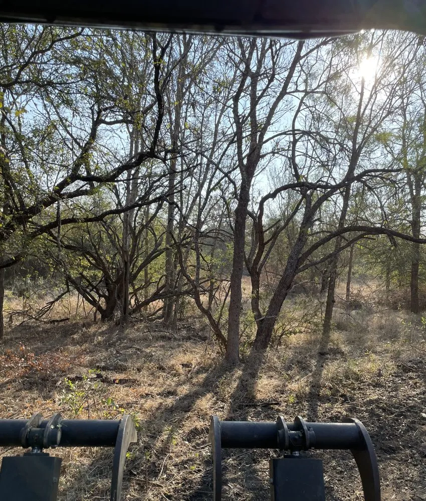 Custom yard cleanup service near you across Austin, TX - Bxk