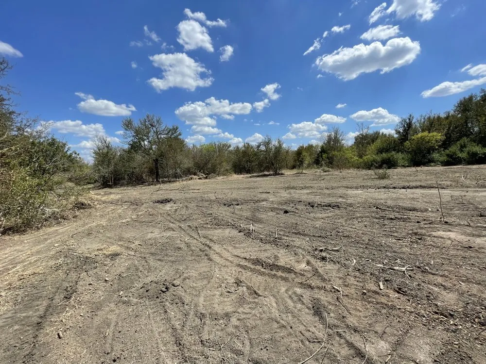 Trusted yard maintenance with custom design in Austin, TX by Bxk