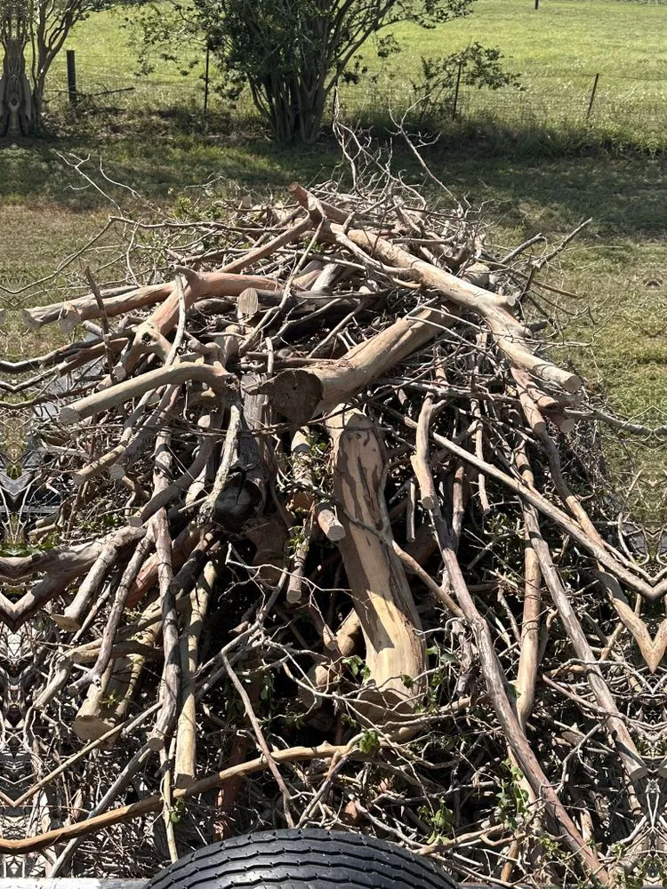 Affordable yard maintenance experts serving Austin, TX - Bxk