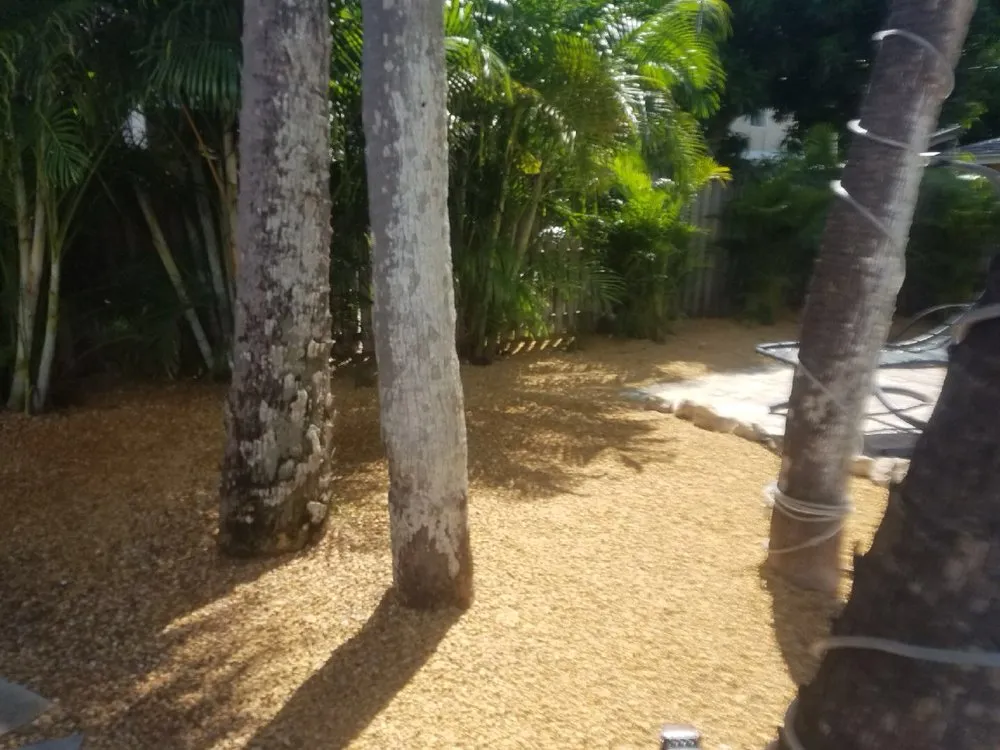 Top-rated garden landscaping in Odessa, FL by By Design Landscape