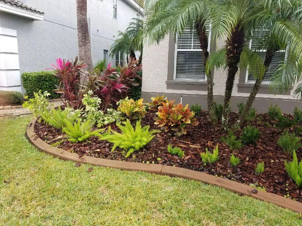 Local outdoor landscaping experts serving Odessa, FL - By Design Landscape