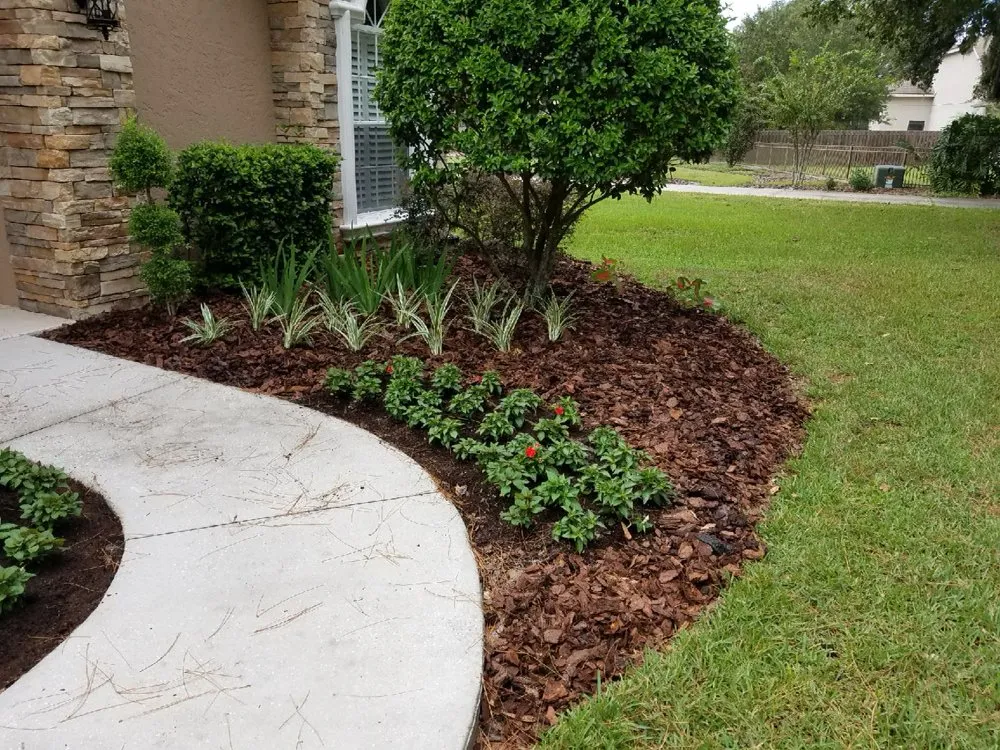 Trusted lawn care service experts serving Odessa, FL - By Design Landscape