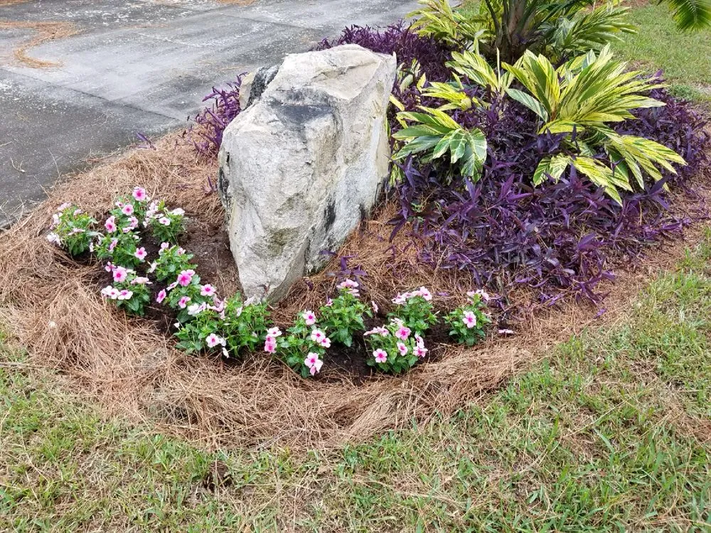 Trusted lawn care service in Odessa, FL by By Design Landscape