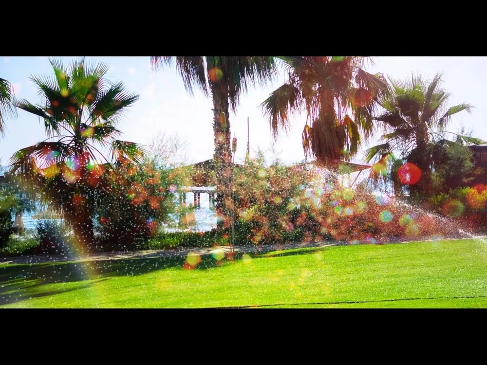 Expert outdoor landscaping in Odessa, FL - By Design Landscape