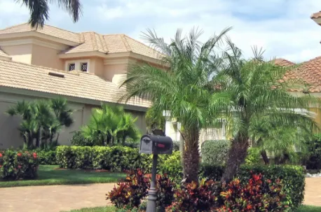 Affordable landscape installation in Odessa, FL by By Design Landscape