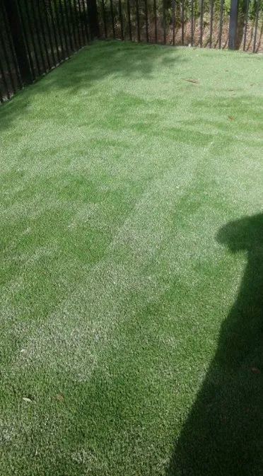 Affordable landscape design for year-round maintenance in Odessa, FL by By Design Landscape