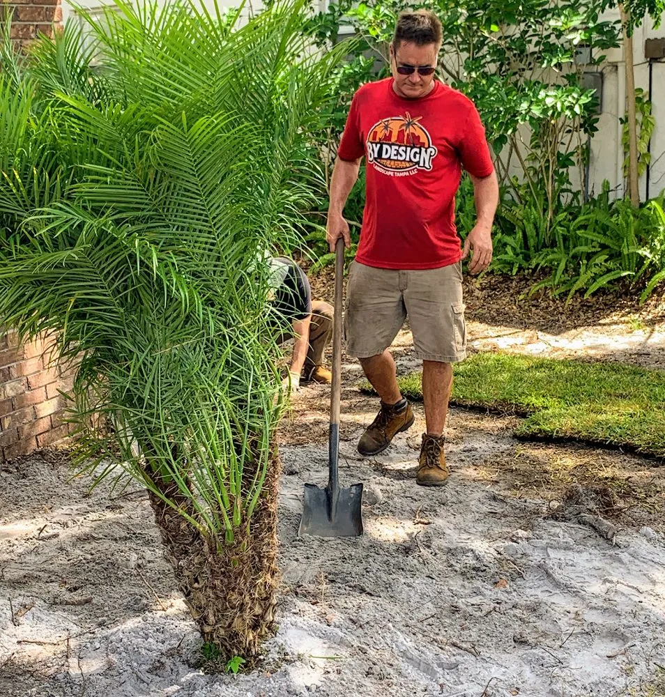 Trusted yard maintenance for homes across Tampa, FL - By Design Landscape