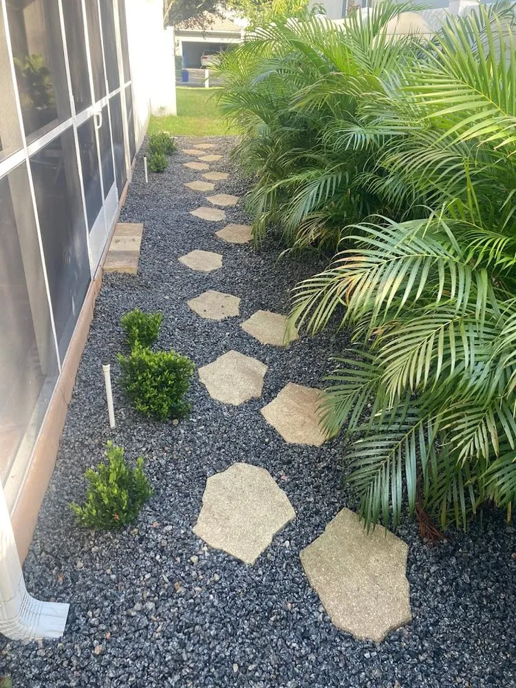 Expert yard cleanup service in Tampa, FL - By Design Landscape