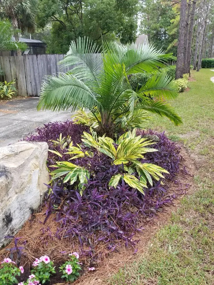 Professional lawn mowing service in Tampa, FL by By Design Landscape