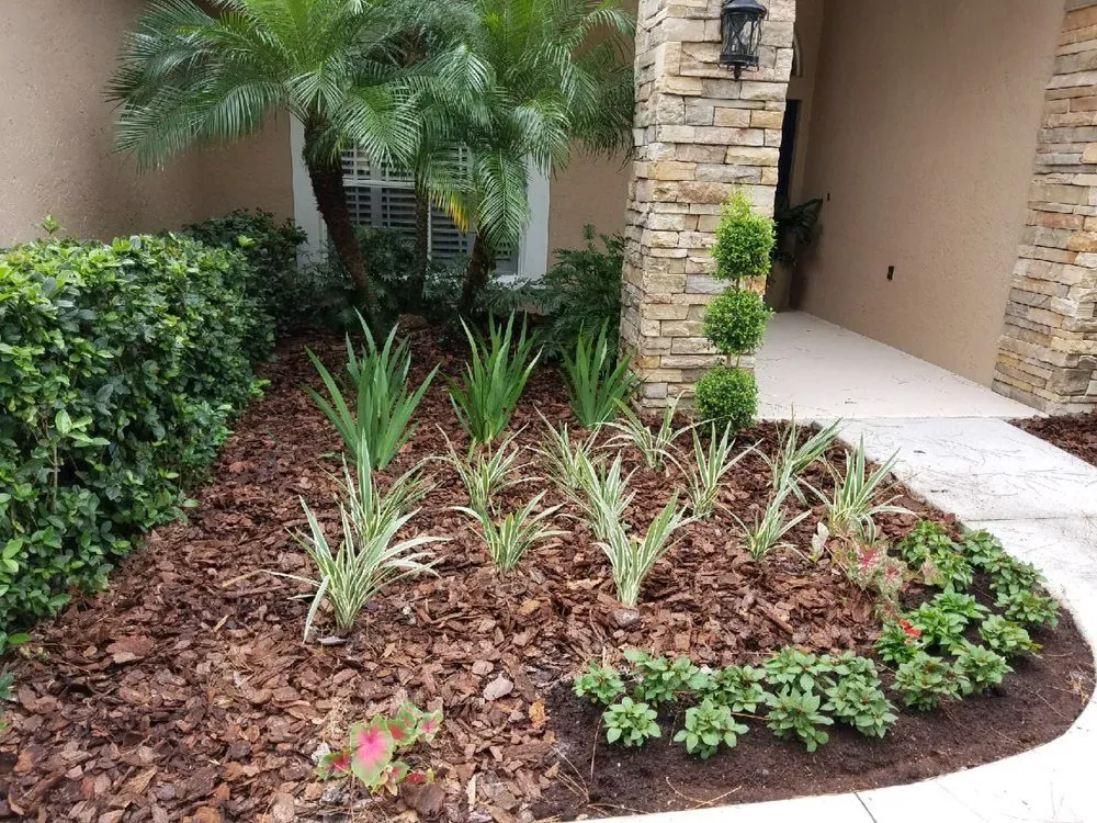 Affordable residential landscaping in Tampa, FL by By Design Landscape