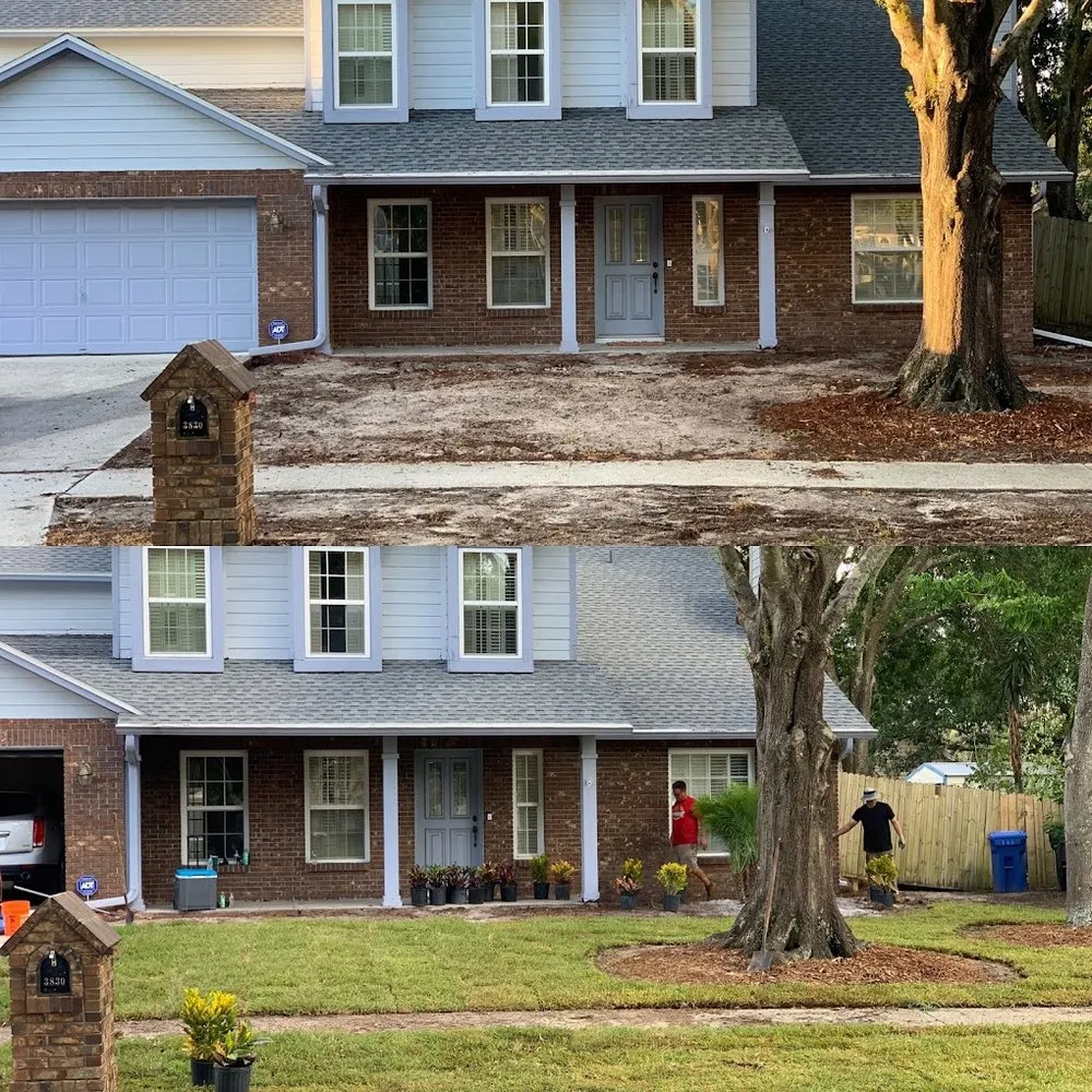 Local lawn care service in Tampa, FL - By Design Landscape