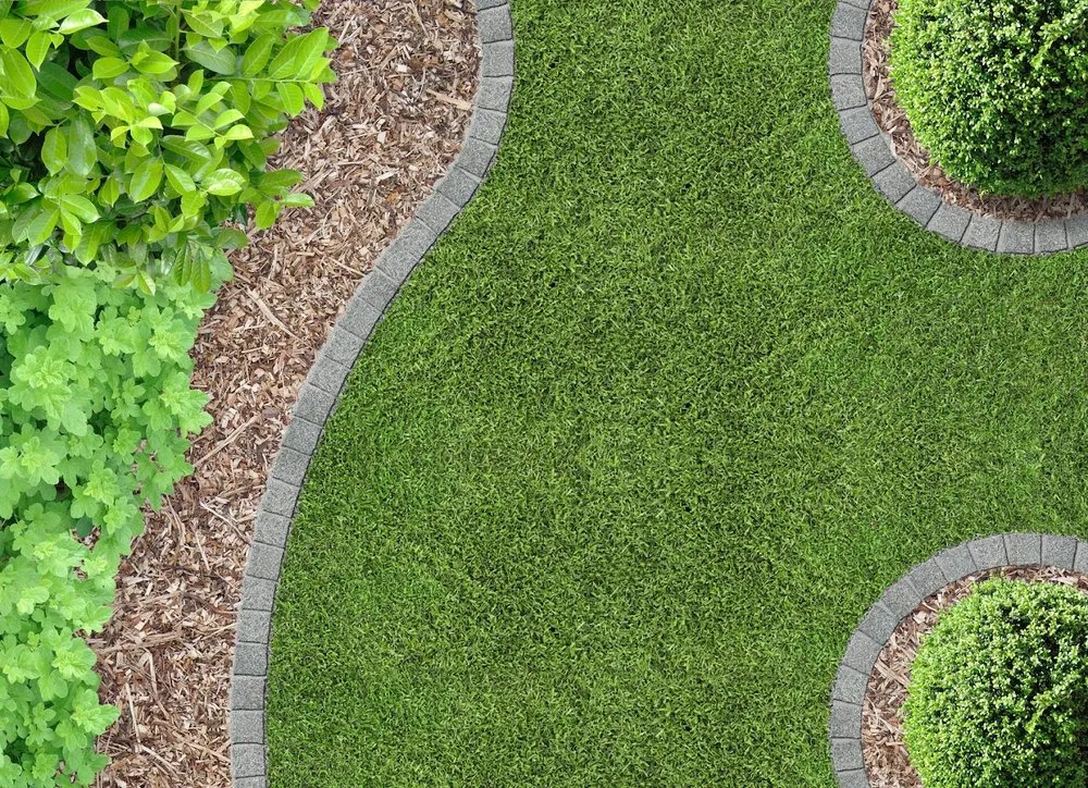 Professional yard cleanup service in Tampa, FL - By Design Landscape