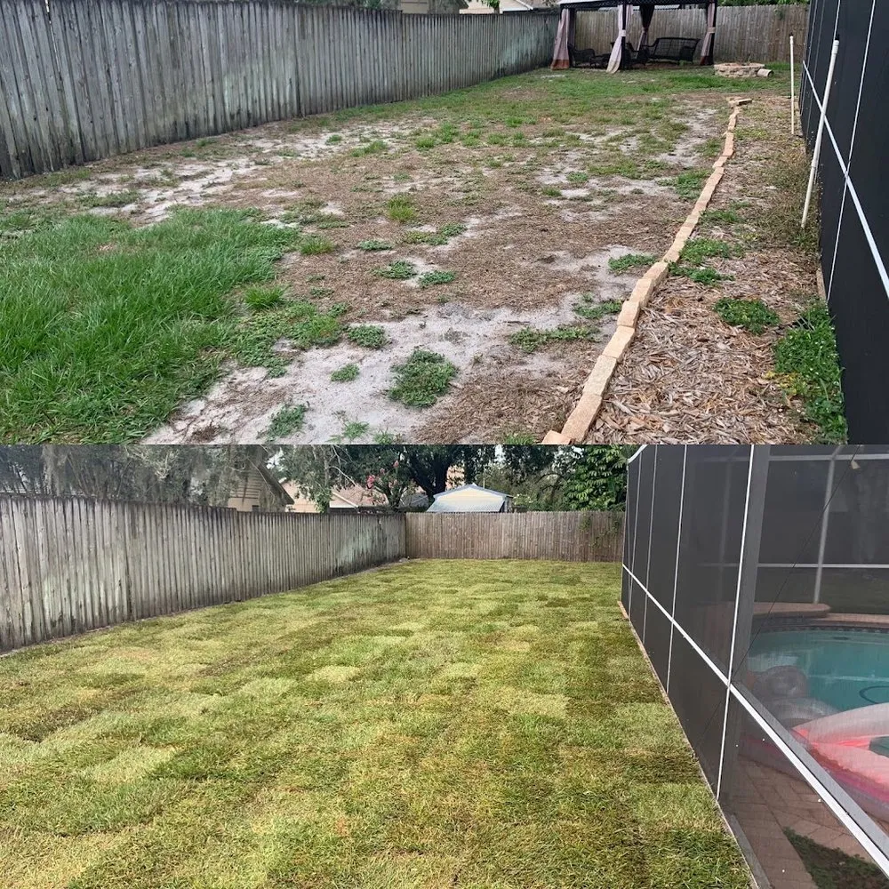 Expert yard cleanup service experts serving Tampa, FL - By Design Landscape