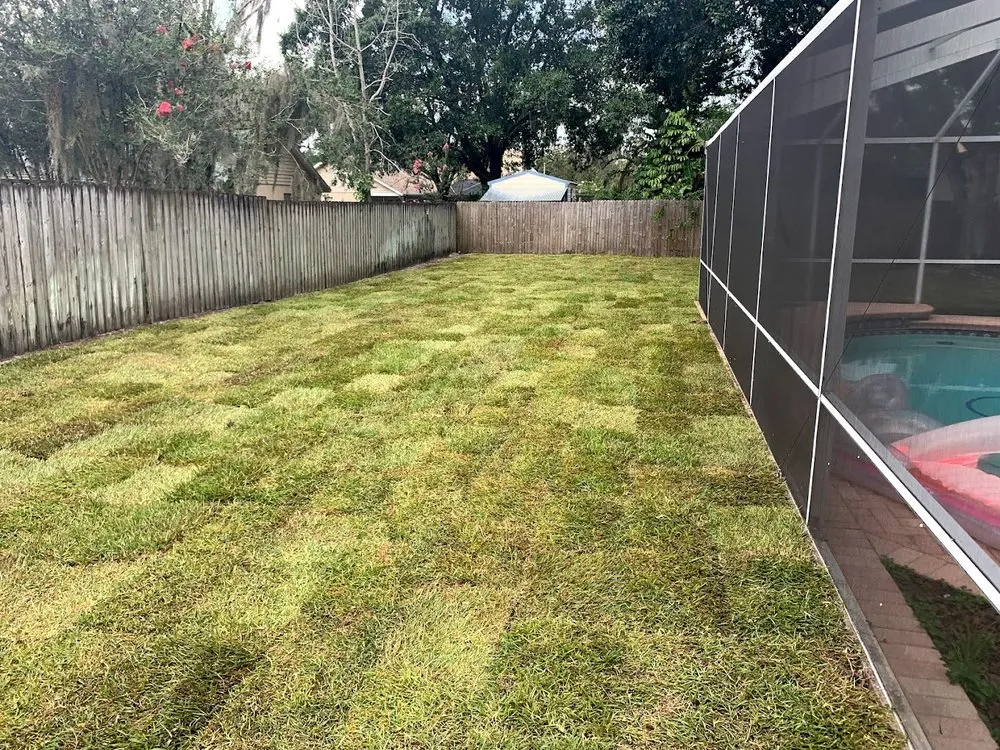 Affordable landscape installation with custom design in Tampa, FL by By Design Landscape