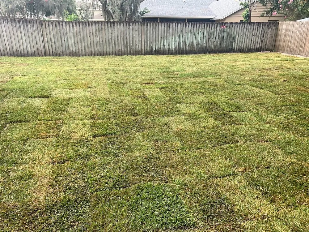 Affordable residential landscaping in Tampa, FL - By Design Landscape