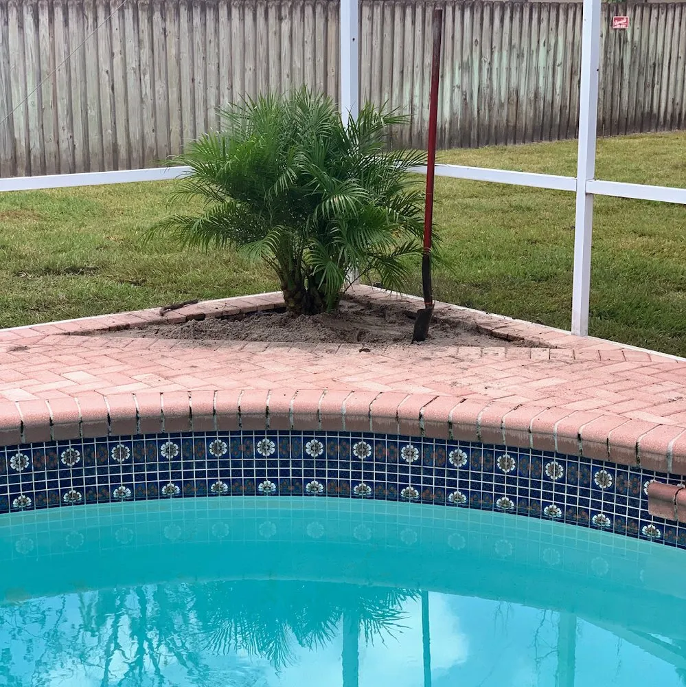 Top-rated landscape design for outdoor upgrades across Tampa, FL - By Design Landscape