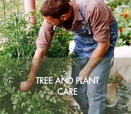 Top-rated residential landscaping with custom design in Logan, UT by By Design Landscapes