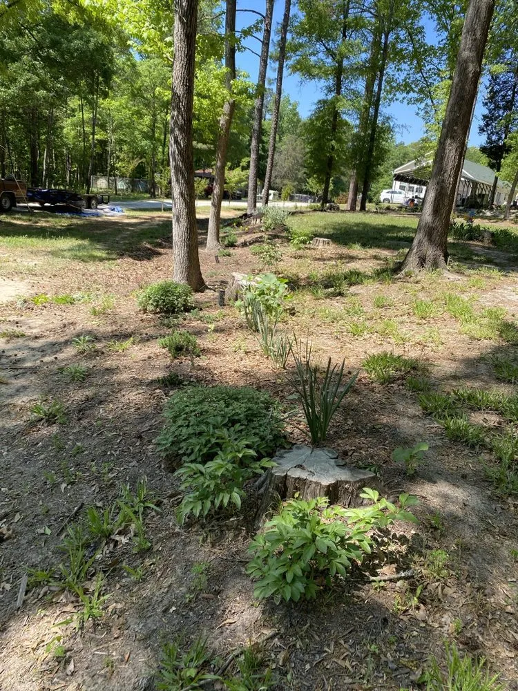 Custom lawn mowing service for year-round maintenance across Edgemoor, SC - By Faith Lawncare
