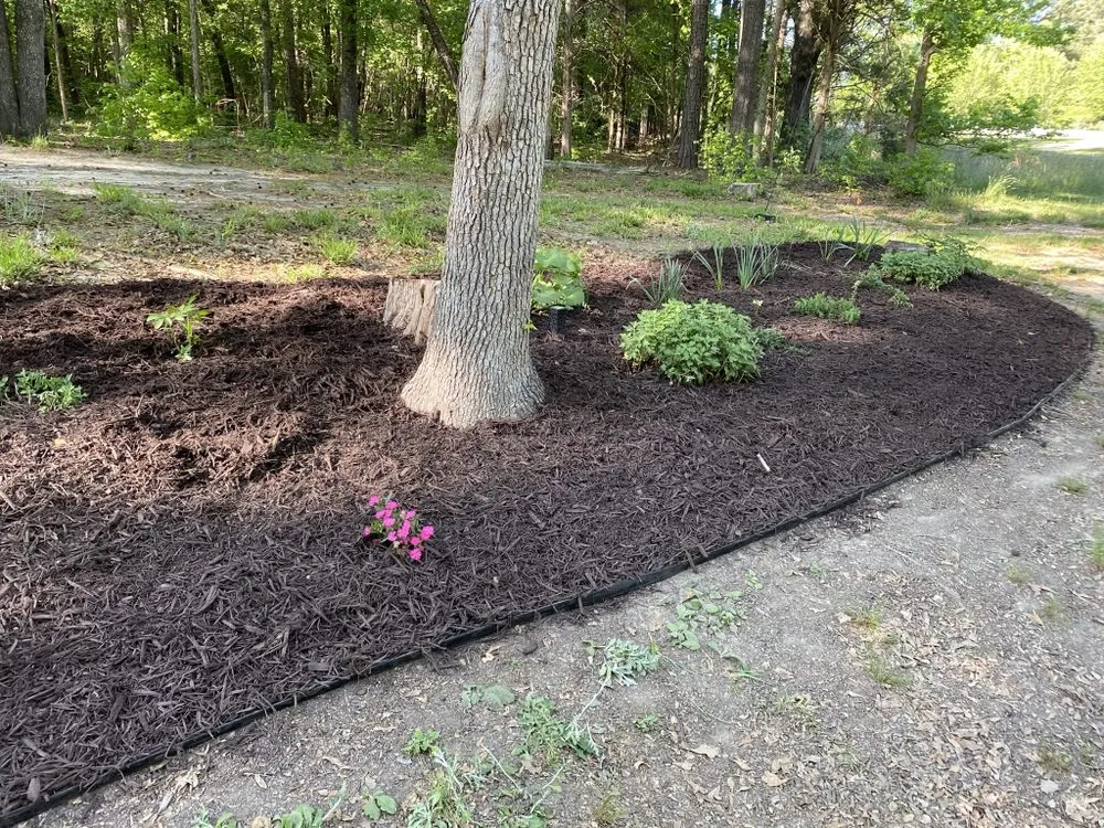 Professional landscaping services for homes in Edgemoor, SC by By Faith Lawncare