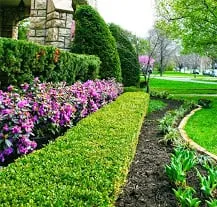 Professional landscaping services in Parkville, MO - By the Blade Lawn & Landscape