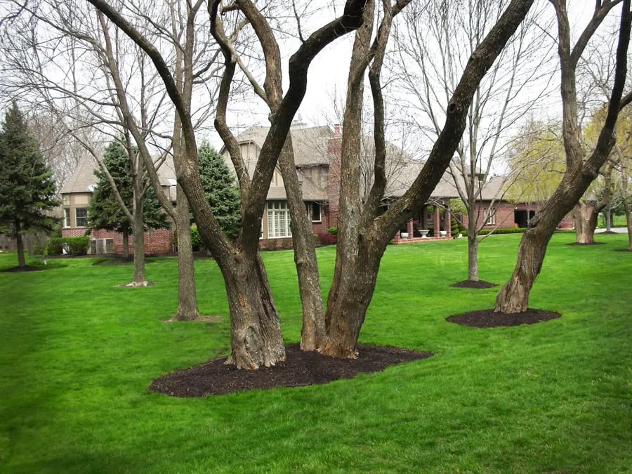 Top-rated outdoor landscaping experts serving Parkville, MO - By the Blade Lawn & Landscape