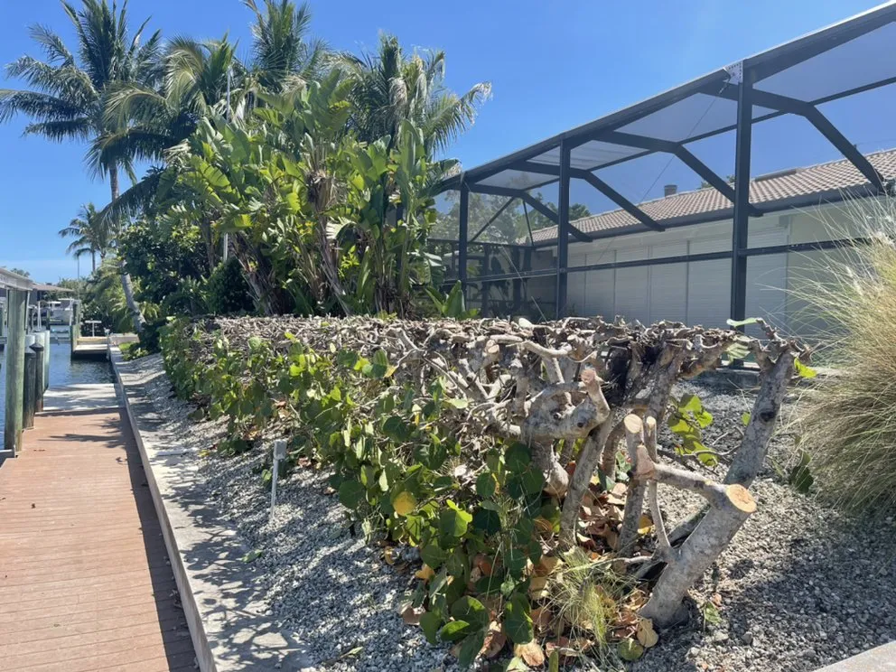 Custom lawn care service experts serving Sanibel, FL - By The Coast Landscaping