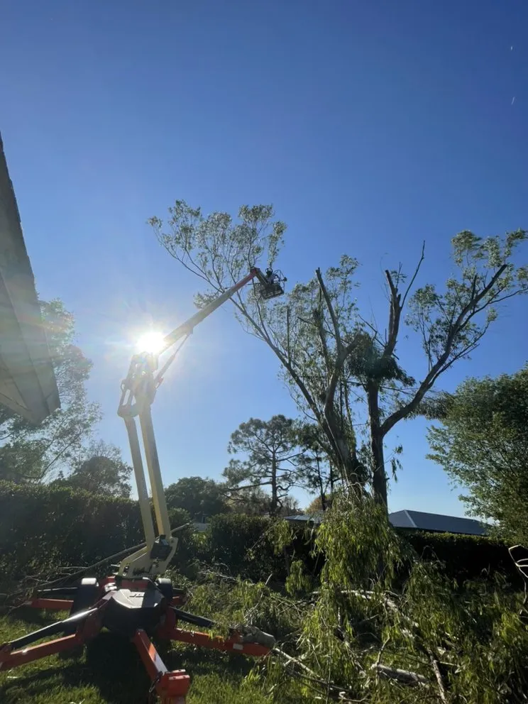 Professional residential landscaping near you in Sanibel, FL by By The Coast Landscaping