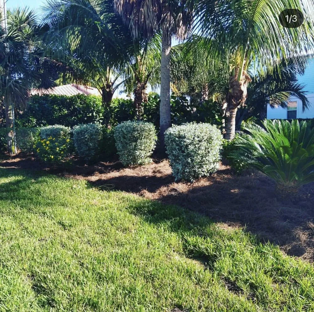 Top-rated residential landscaping in Sanibel, FL - By The Coast Landscaping