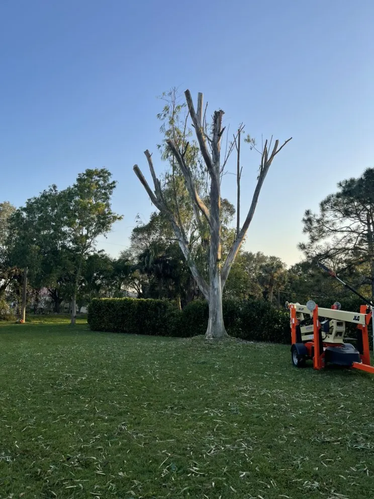 Custom outdoor landscaping for year-round maintenance across Sanibel, FL - By The Coast Landscaping