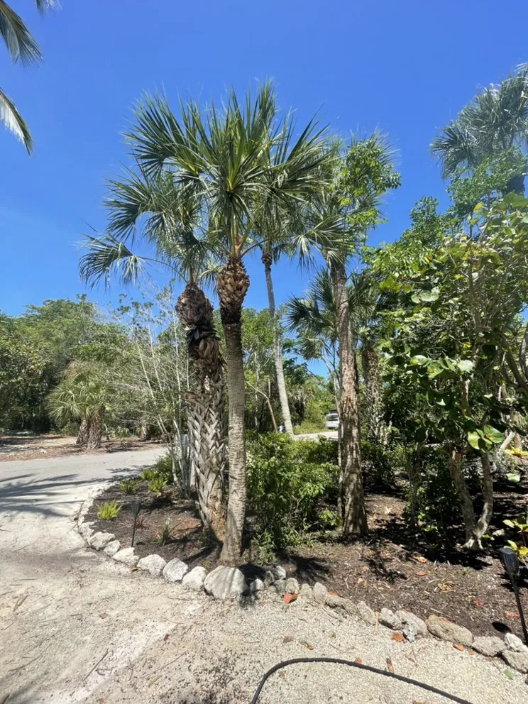 Expert residential landscaping experts serving Sanibel, FL - By The Coast Landscaping