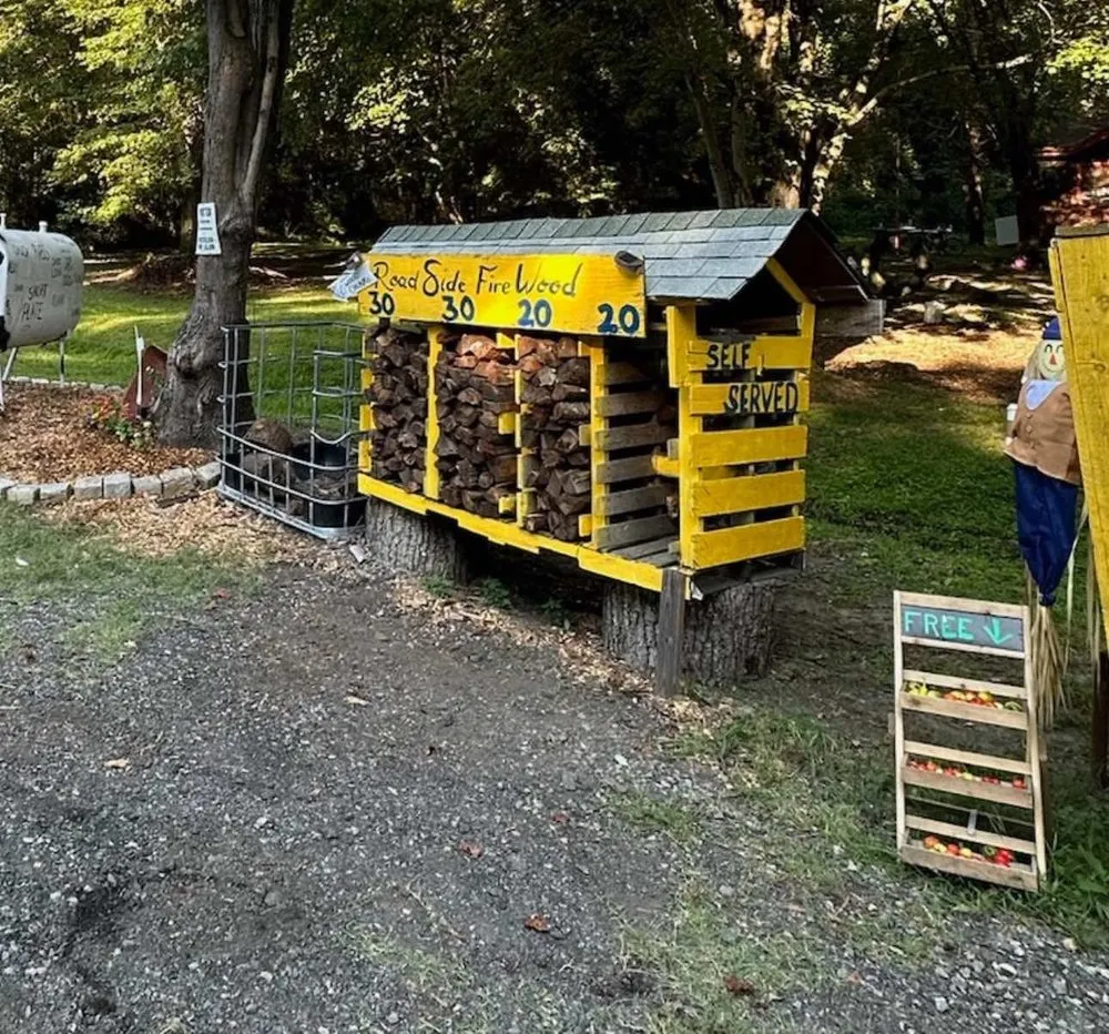 Professional outdoor landscaping for residential properties in Sandston, VA by By The Roadside Firewood