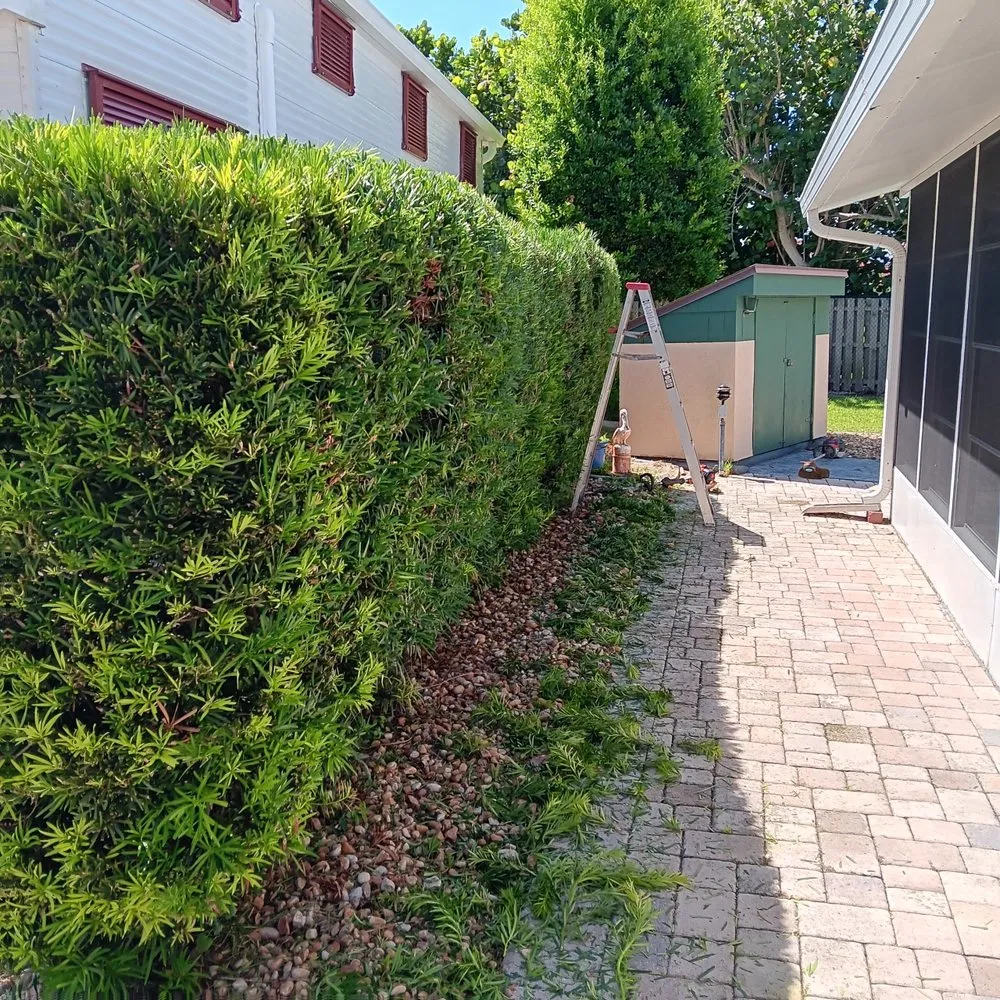 Professional landscape design for beautiful yards in Deltona, FL by By The Root