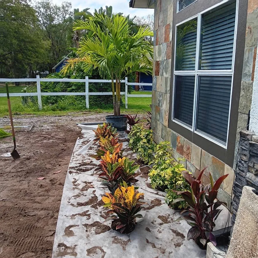 Local outdoor landscaping in Deltona, FL by By The Root