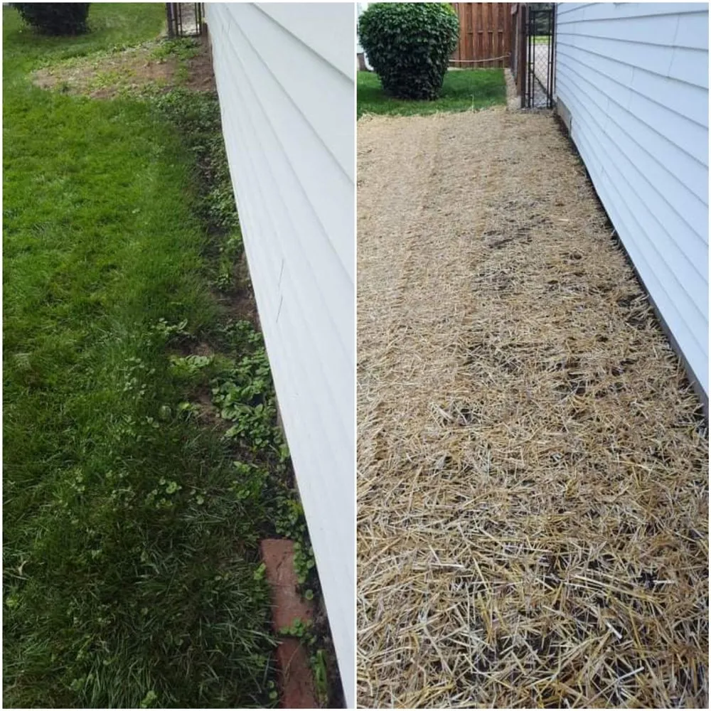 Affordable landscaping services experts serving Diamond, OH - By the Root Sustainable Landscaping