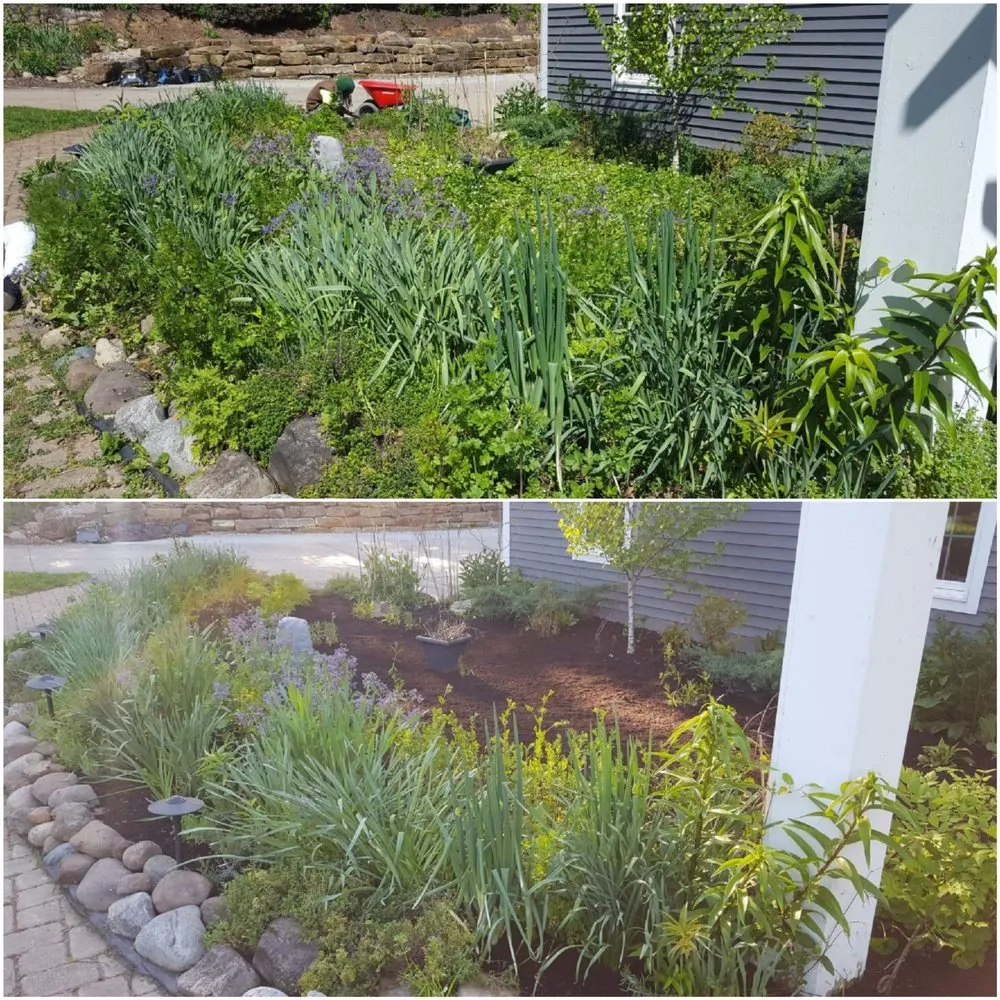 Trusted yard maintenance in Diamond, OH - By the Root Sustainable Landscaping