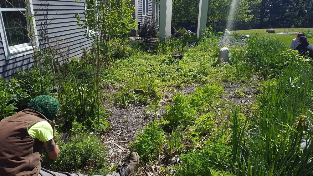 Expert outdoor landscaping for residential properties in Diamond, OH by By the Root Sustainable Landscaping